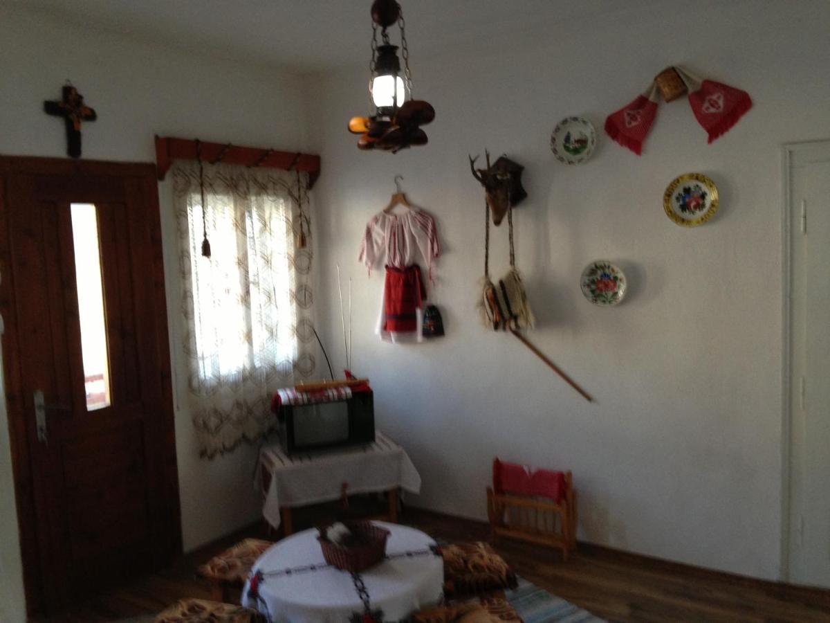ホテル Casa De Vacanta Joldes Gîrda de Sus エクステリア 写真