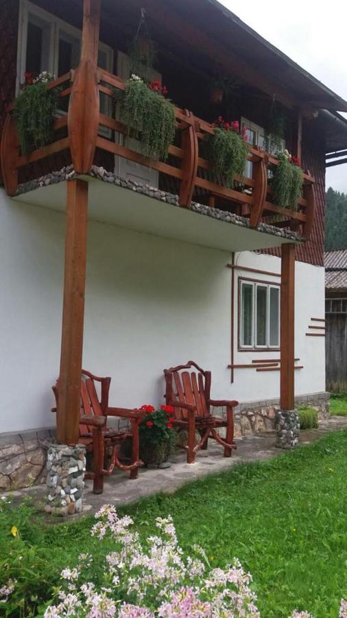 ホテル Casa De Vacanta Joldes Gîrda de Sus エクステリア 写真