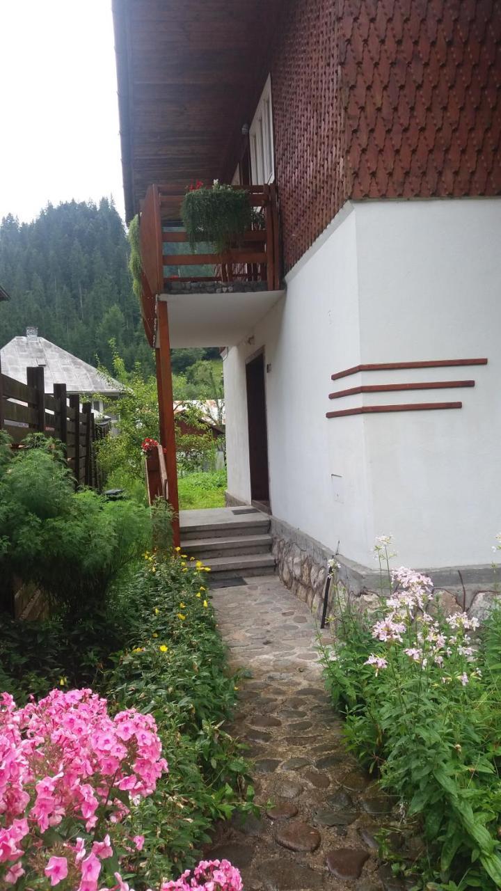 ホテル Casa De Vacanta Joldes Gîrda de Sus エクステリア 写真